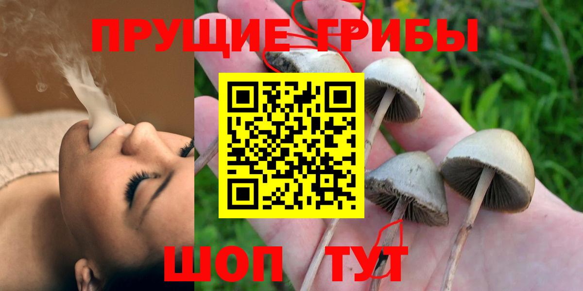 Галлюциногенные грибы GOLDEN TEACHER Киров